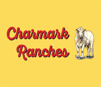 Sires Archives - Charmark Ranches